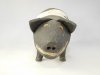 Shirley  Foote - Pig (3)