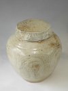 Ruthanne Tudball - Ginger Jar (1)